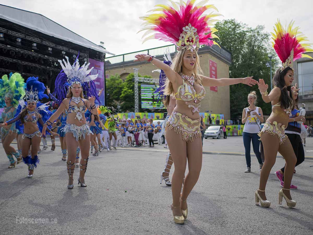 Hammarkullekarnevalen 2015 22